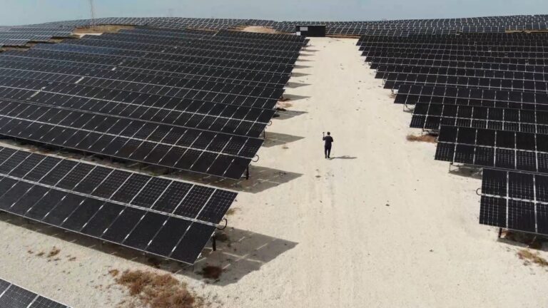 GTC bifacial mono panel saha karşılaştırması